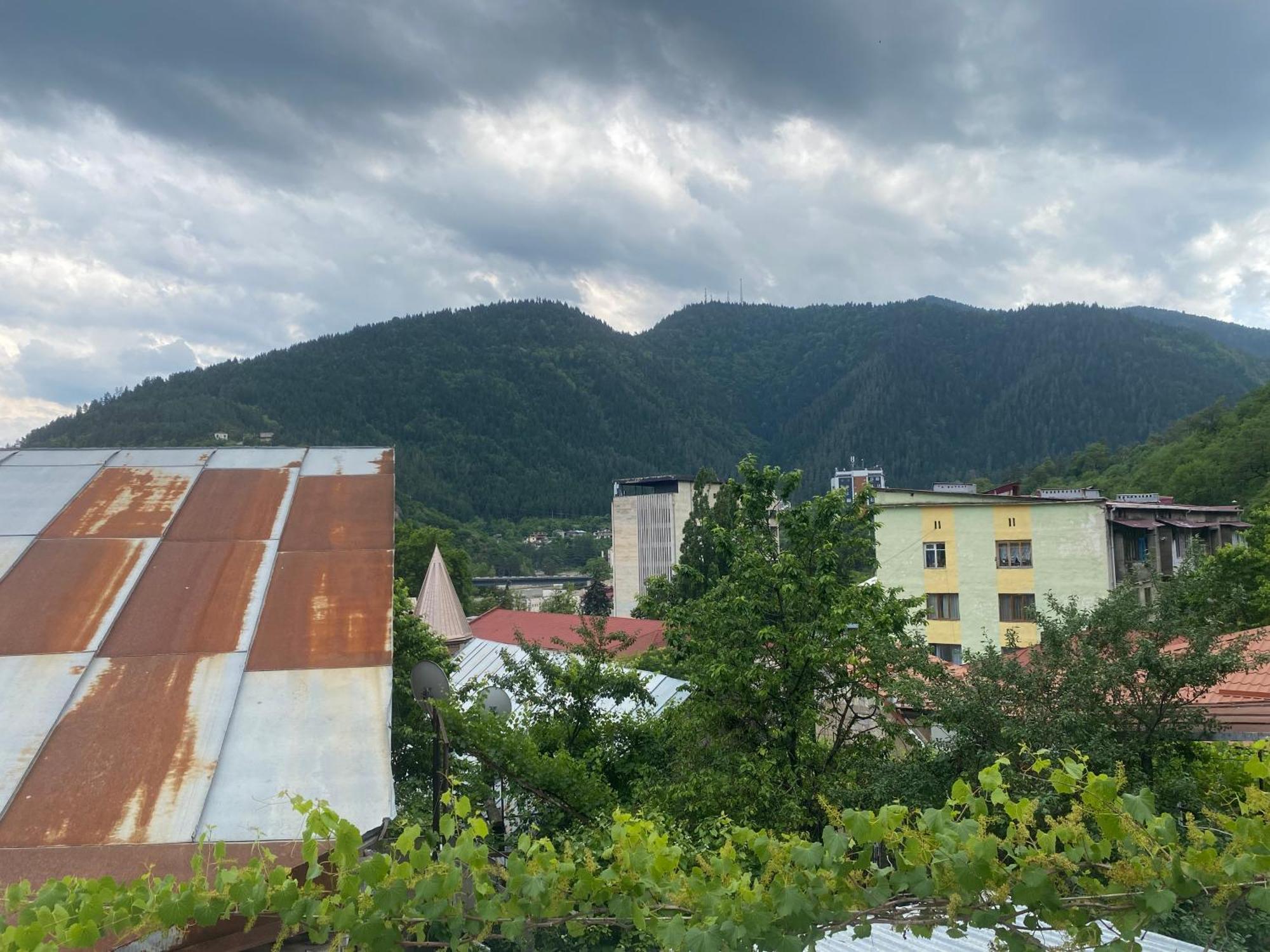 Hillside Guesthouse Боржоми Экстерьер фото