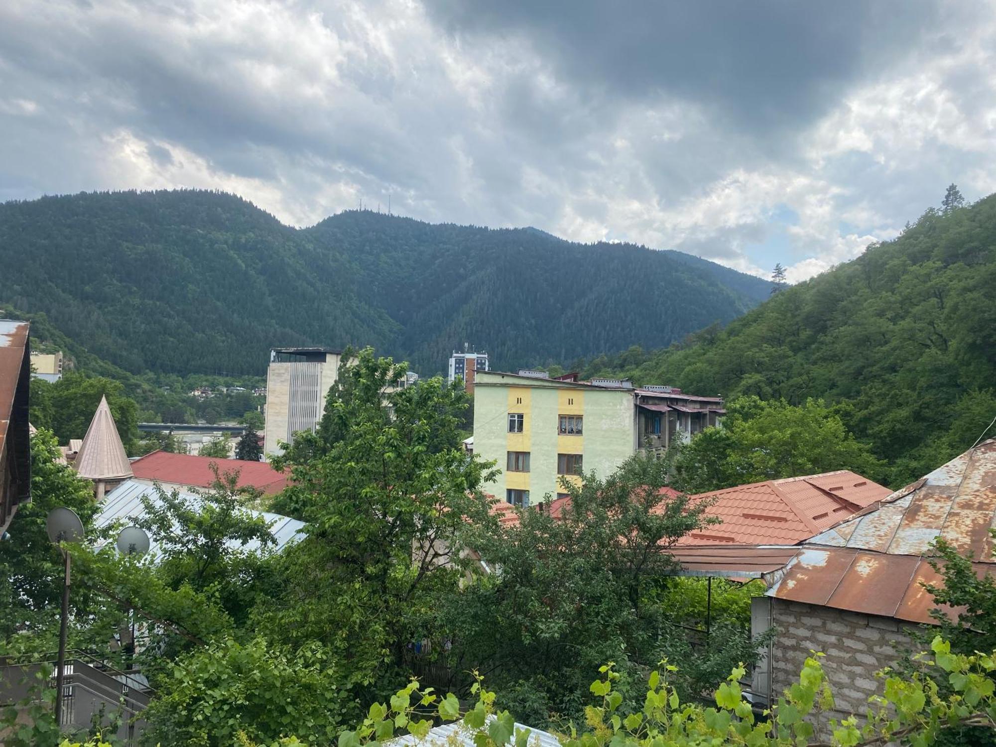Hillside Guesthouse Боржоми Экстерьер фото